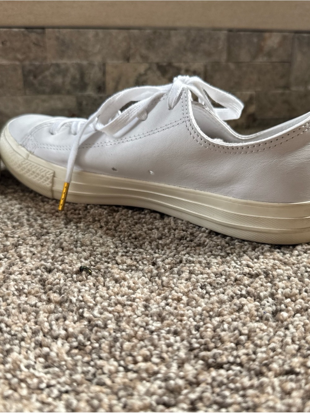 Converse All Star Women’s 9.5 Men’s 7.5 Leather White Gold Accents euc Sneakers - Picture 6 of 8